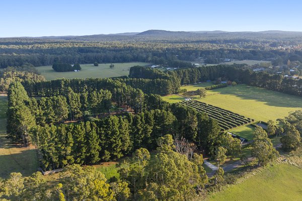 The Rare Regional Properties Capturing Buyers' Attention